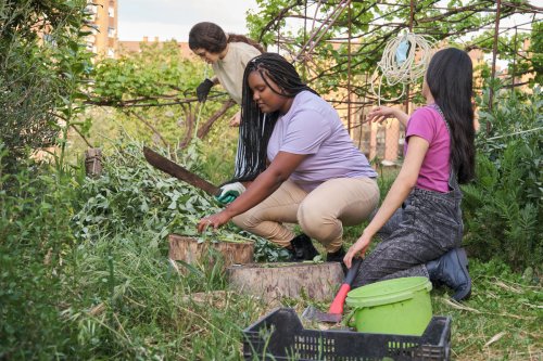 Cultivating Community Gardens: How Municipalities Harvest Social, Economic, and Environmental Gains