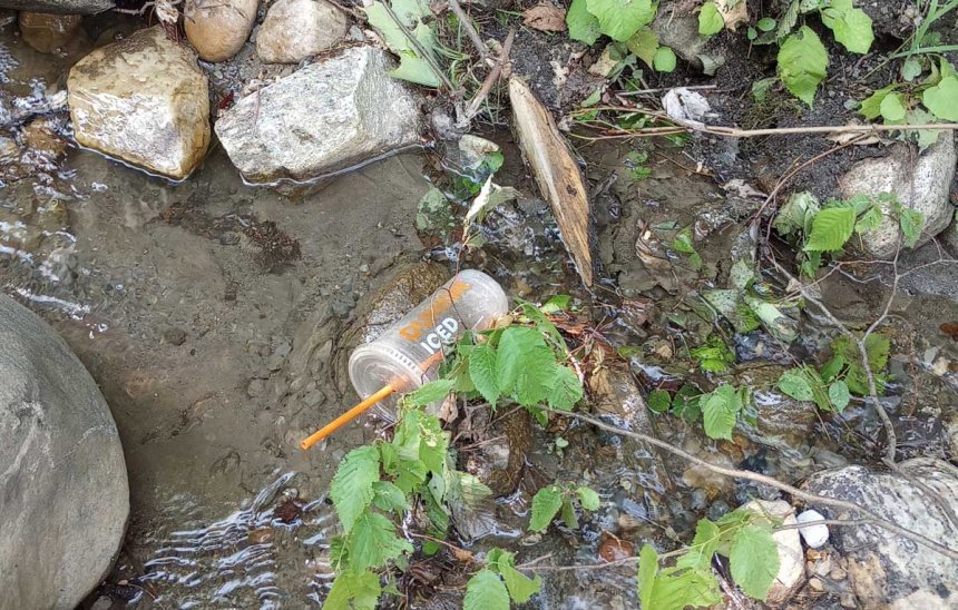 litter in stream