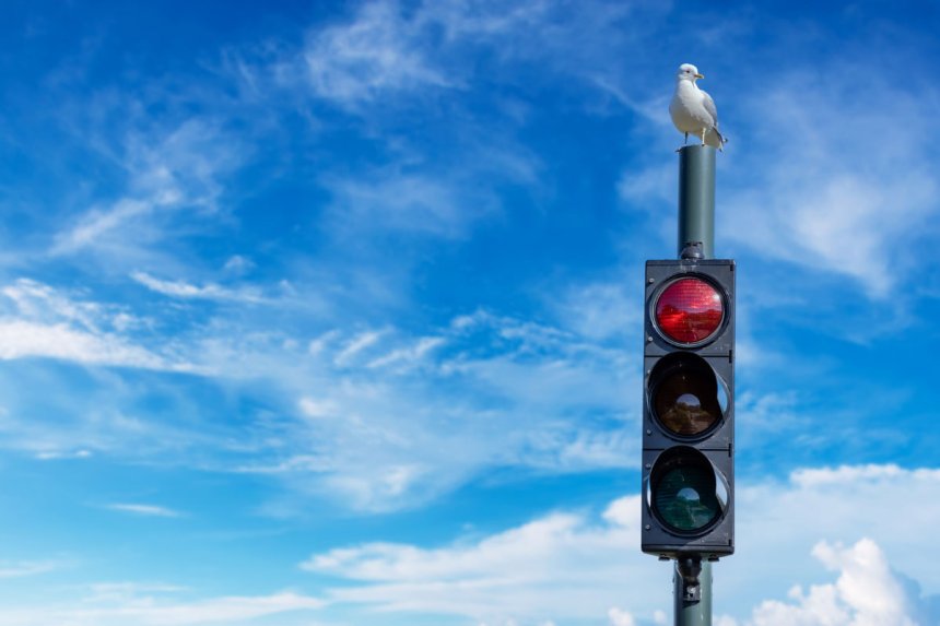 Why Traffic Signal Inspections Should Be an Essential Part of Your Municipality’s Maintenance Program
